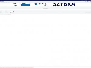 Sklep internetowy z nowymi dywanami.
