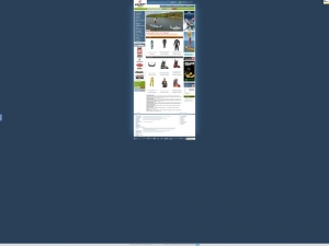 Sklep internetowy z deskami do snowboardu